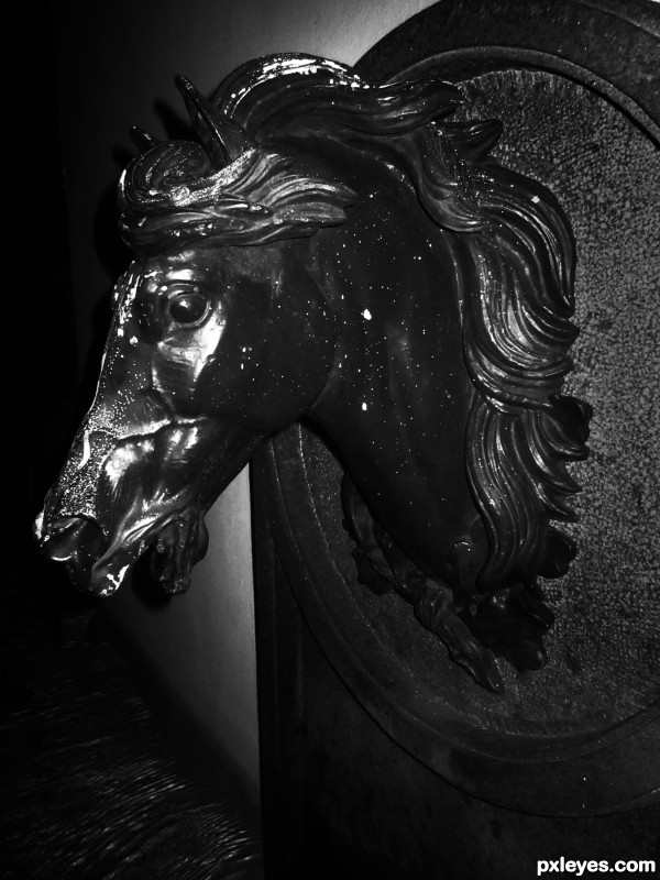 Equus